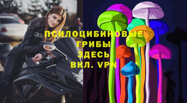 ешки Алексин