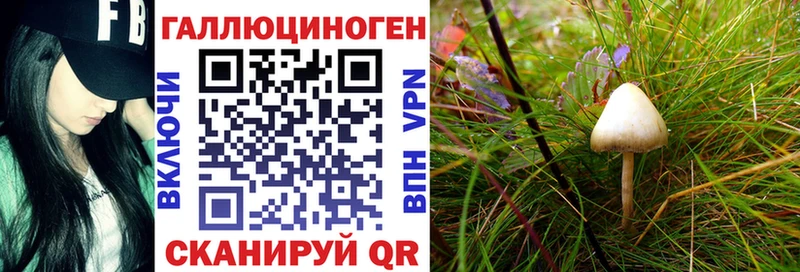 kraken сайт  Алупка  Галлюциногенные грибы Magic Shrooms 